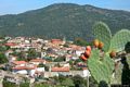 Asuni-Veduta dell’abitato