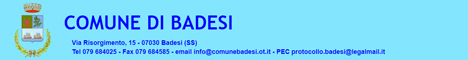 Visita del sito istituzionale del comune