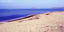 Badesi: la spiaggia di li Junchi