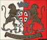 La bandiera della Brigata Sassari