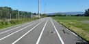 Baratili San Pietro-Complesso polisportivo Comunale: la pista rettiliea di atletica leggera