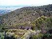 Barrali-Il monte Uda con la sua grande pineta