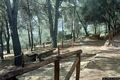 Barrali-Il percorsi pedonali sul monte Uda