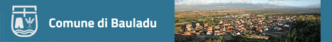 Visita del sito istituzionale del comune