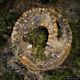 Bauladu: il nuraghe Crabia: veduta dall’alto