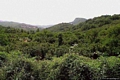 Belvì-Foreste viste dalla strada verso Belvì