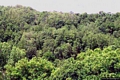 Belvì-Foreste viste dalla strada verso Belvì