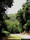 Belvì-La bella strada verso Belvì Belvì-La bella strada verso Belvì
