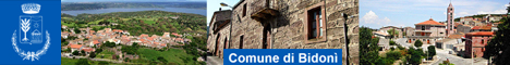 Visita del sito istituzionale del comune