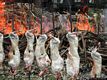 Bidonì-Sagra de S’Anzone: cottura dell’agnello sardo arrosto