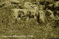 Birori-tomba di giganti Oddetta: vecchia foto dei resti della tomba