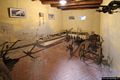 Bitti-Museo della Civiltà Contadina e Pastorale: sala interna del Museo Bitti-Museo della Civiltà Contadina e Pastorale: sala interna del Museo
