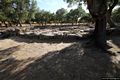 Bitti-Villaggio nuragico di Romanzesu Bitti-Villaggio nuragico di Romanzesu