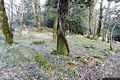 Bolotana-resti della fortezza punica di Mularza Noa: torre quadrangolare