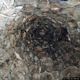 Bolotana-nuraghe Tittirriola: la tholos intatta