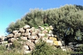 Bonarcado-resti del nuraghe complesso Muschiu o Serra Crastula