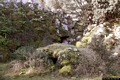 Bonarcado-resti del nuraghe complesso di tipo misto Scovera o Scova Era