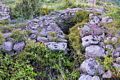 Bortigali-Complesso nuragico di Carrarzu Iddia: il pozzo cisterna