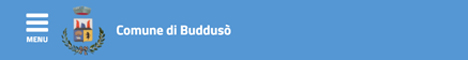 Visita del sito istituzionale del comune