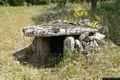 Buddusò-Dolmen di Sos Monimentos
