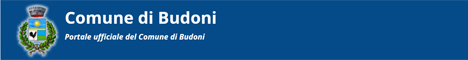 Visita del sito istituzionale del comune