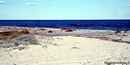 Budoni-Matta ’e Peru: la spiaggia di Matta ’e Peru