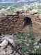 Budoni-Solità: ingresso del nuraghe nuraghe Conca ’e Bentu