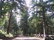 Bultei: la Foresta Demaniale