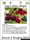 Burcei-Sagra della Ciliegia