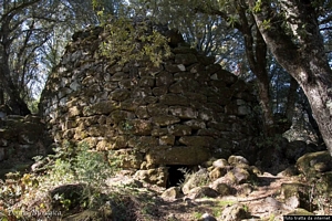 Burgos-Foresta di Burgos: resti del nuraghe complesso Sa Costa detto anche Sa reggia