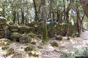 Burgos-Foresta di Burgos: il ciclopico antemurale del nuraghe complesso Sa Costa detto anche Sa reggia