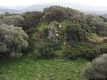 Busachi-resti del nuraghe Santa Marra