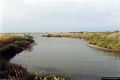 Lo stagno di Cabras: canale di Pontis