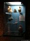Cagliari-area archeologica di Sant’Eulalia: reperti rinvenuti