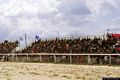 Cagliari-Poetto: tribune dell&rsquo;Ippodromo intitolato al generale Antonio Gutierrez