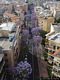 Cagliari-La Citt&agrave; Giardino: un viale interno
