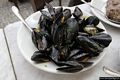 Cagliari-trattoria Lillicu: antipasto di cozze alla marinara
