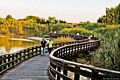 Cagliari-Pirri: il parco Terramaini