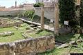 Cagliari-Villa di Tigellio