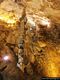 Dorgali-Grotta di Ispinigoli: l’alta colonna al centro della grotta