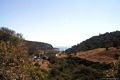 Dorgali-Cala Cartoe: veduta di Cala Cartoe dalla strada di accesso