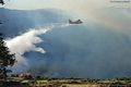 Dorgali-Cala Cartoe: un canadair scarica il pieno di acqua per spegnere l’incendio Dorgali-Cala Cartoe: un canadair scarica il pieno di acqua per spegnere l’incendio