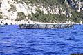 Dorgali-vasche di allevamento del pesce nel mare verso Cala Cartoe Dorgali-vasche di allevamento del pesce nel mare verso Cala Cartoe