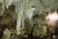 Dorgali-Grotta del Bue Marino: nell’interno della grotta la sala dei candelabri