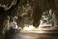 Dorgali-Grotta del Bue Marino: nell’interno della grotta la sala degli organi