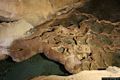 Dorgali-Grotta del Bue Marino: nell’interno della grotta la sala della Foca Monaca