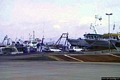 Calasetta: imbarco dei traghetti per Carloforte Calasetta: imbarco dei traghetti per Carloforte