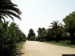 Alghero: i Piani: viale interno verso l’enoteca Sella & Mosca