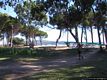 Alghero: la pineta di Mugoni