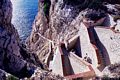 Alghero: la grotta di Nettuno: la Escala del Cabirol
